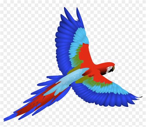 Flying Parrot Clipart Free Transparent Png Clipart Images Download