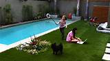 Photos of Small Backyard Pool Landscaping Ideas