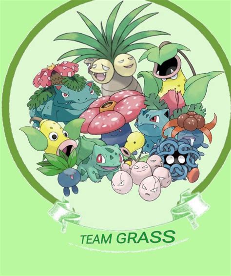 Pokemon Generation 1 Team Grass Pokemon Grass Type Pokemon Grass Pokémon