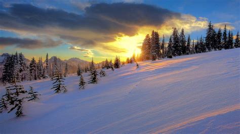 Winter Sunset Wallpapers Wallpaper Cave