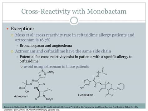 Ppt Allergic Cross Reactivity Among Lactam Antibiotics In Patients