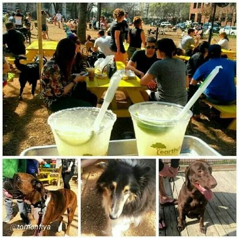 Mutts Canine Cantina In Dallas Tx An Outdoor Restaurant Bar And Dog