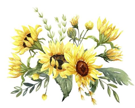 Sunflowers Watercolor Clip Art Includes Sunflowers Daisies Etsy In 2020 Watercolor Sunflower