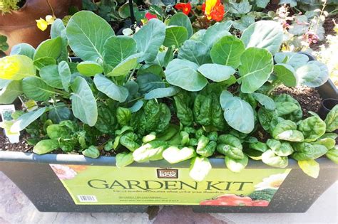 The Earth Box For Easy At Home Organic Gardening Review By Greenlite