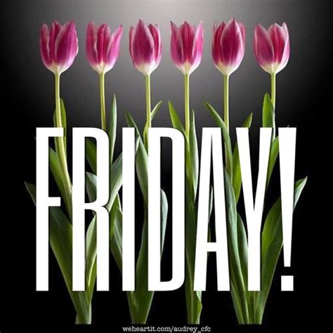 Beautiful Day Enjoy Friday Tulips Weekend Friday Pictures
