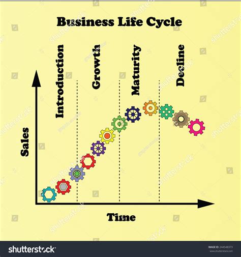 Business Life Cycleproduct Life Cycle Chart Stock Vector Royalty Free
