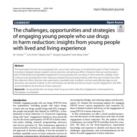 Les Défis Opportunités Et Stratégies Liés à Limplication De Jeunes
