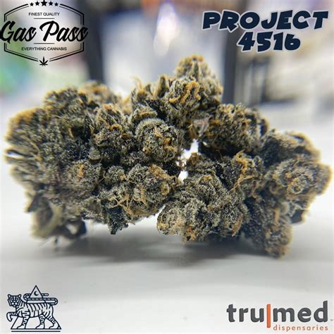 Project 4516 By Trumed Hippy Life Entertainment