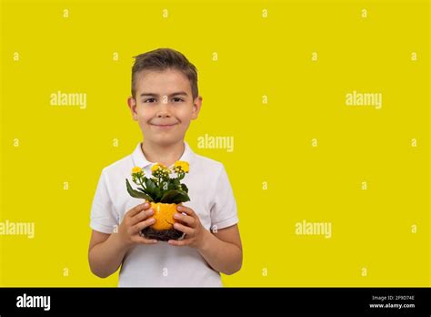 A Boy Holding Yellow Flowers In Pot Stock Photo Alamy