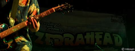 Un bicchiere di benzina, grazie. cosa vuoi da bere?: Zebrahead live @Rock 'n' Roll Arena ...