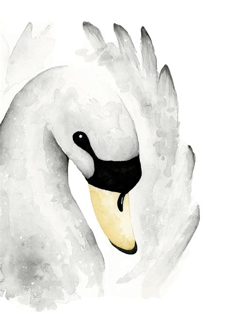 Swan Watercolour Art Print A3 Nursery Animal Swan Painting