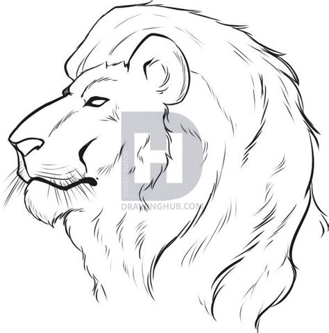 Drawing A Lion Face Step By Step At Explore