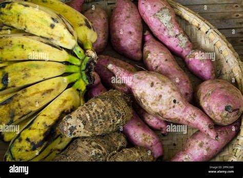 Taro Colocasia Esculenta Sweet Potato Ipomoea Batatas And Banana