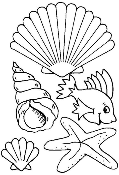 Beach Shells Coloring Pages Download And Print For Free