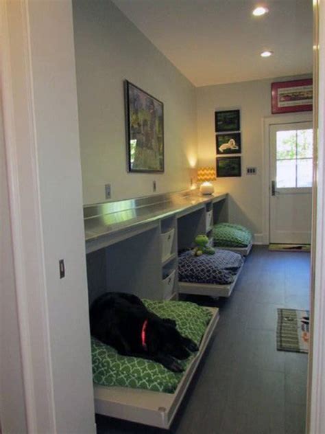 practical small  dog rooms