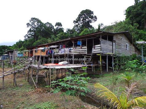 This is a perfect resort for weekend getaways and day packages. Medical seva at Dayak Iban Longhouse Tuba village Malaysia ...