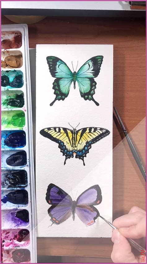 Watercolor Butterfly Time Lapse Video By Emily Olson In 2020