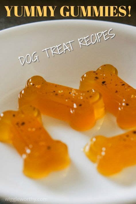 Good lucking keeping your dog out of the kitchen while making these. Gummy Dog Treat Recipe | Dog biscuit recipes, Soft dog ...
