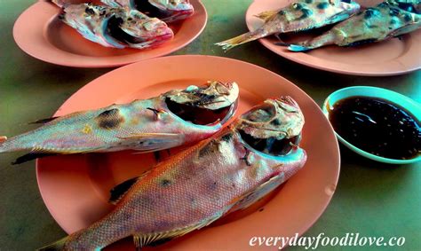 The organogenesis and the final structure of the cephalopod eye fundamentally differ from those of vertebrates such as humans. Ikan Panggang Tarzan @ Food Centre 88, Asia City