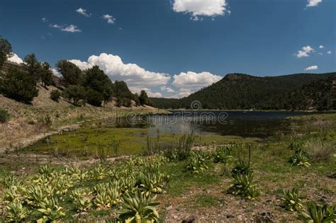 Quemado Lake North Western View New Mexico Stock Photo Image Of
