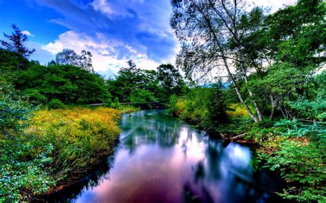 Hd Forest River Wallpaper Download Free 55773