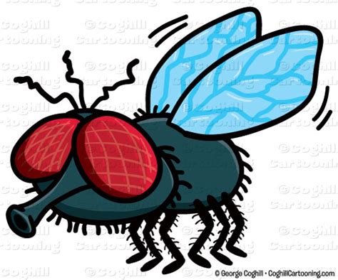 Free Fly Cartoon Download Free Fly Cartoon Png Images Free Cliparts