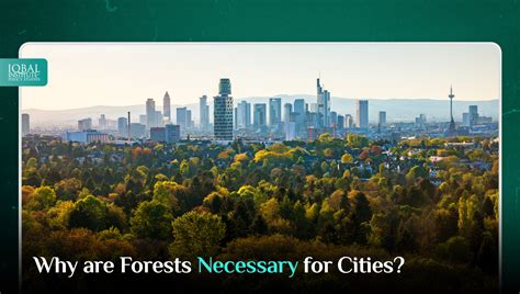 Why Are Forests Necessary For Cities Iips