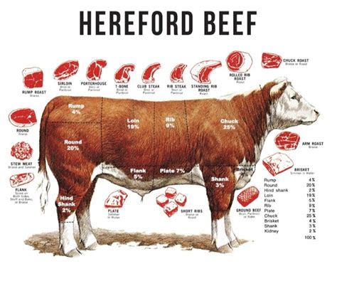 High Resolution Printable Beef Cuts Chart
