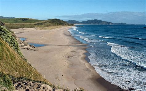 Ocean Beach North Island New Zealand World Beach Guide