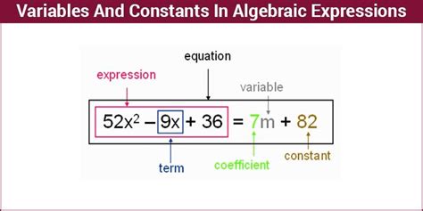 43 Write An Algebraic Expression With The Constant 7 And The Variable