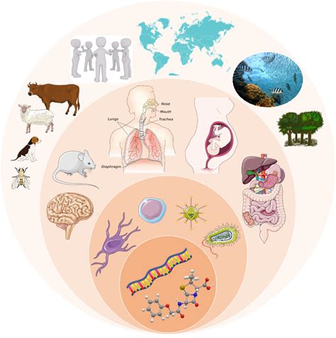 Biologie Intégrative Et Synthétique Des Microorganismes Université De