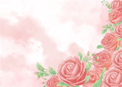 Watercolor Floral Background Light Pink Rose Flowers Watercolor