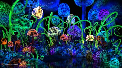 Psychedelic Mushroom Wallpapers Top Nh Ng H Nh Nh P