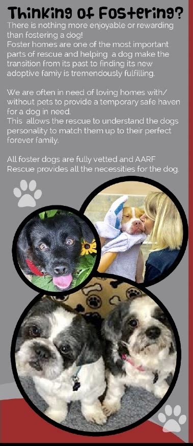 We work with rural shelters across the state to reduce the number of dogs and cats being euthanized and transport them. Pets for Adoption at AARF - Animal Angel Rescue Foundation ...