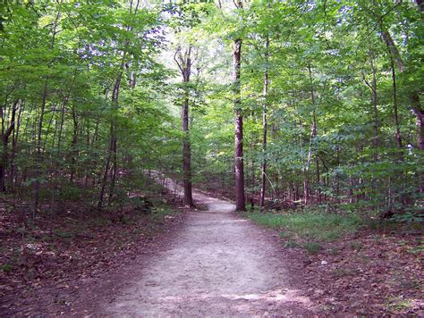 Path In The Woods Free Stock Photo Public Domain Pictures