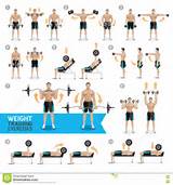 Training Dumbbell Exercises Images