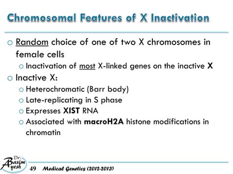 6 Clinical Cytogenetics Disorders Of The Autosomes And The Sex Chromosomes