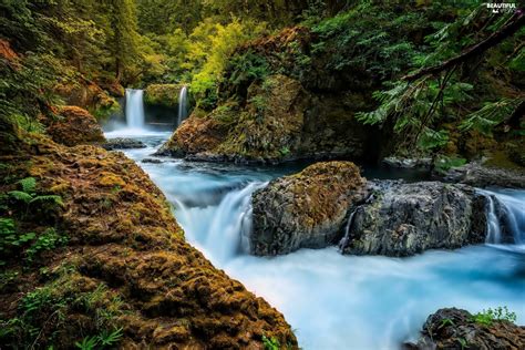Waterfall Rocks Forest River Beautiful Views Wallpapers 2560x1600