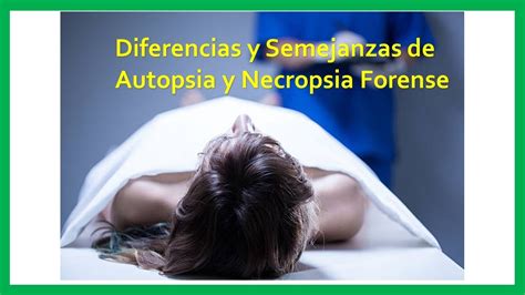 Cual Es La Diferencia Entre Autopsia Y Necropsia Esta Diferencia