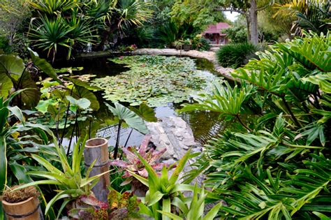 Rainforest Ponds Waterfalls At San Diego Botanic Garden