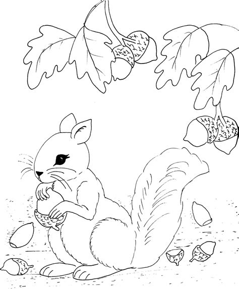 Parce que le coloriage est aussi une activité éducative; 67 dessins de coloriage écureuil à imprimer sur LaGuerche ...