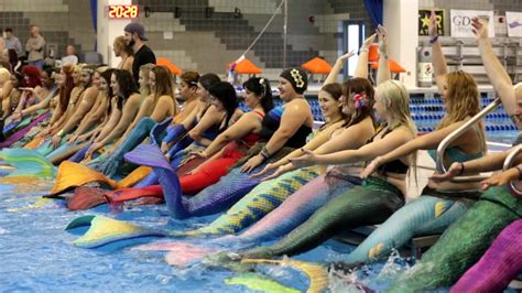 Professional Mermaids Work Their Tails Off Video Business News