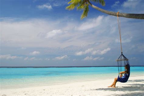 Hammock Maldives Stock Photo Image Of Coconut Beauty 12698528