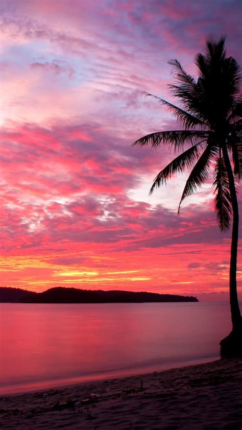 Beach Pink Sunset Matahari Terbenam Pantai Yang Estetis Wallpaper Ponsel HD Pxfuel