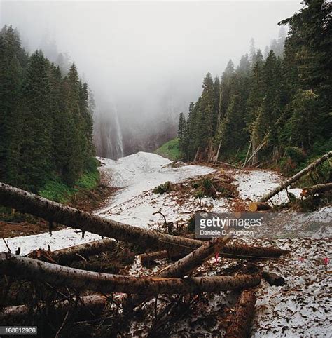 Log Jam In River Photos And Premium High Res Pictures Getty Images