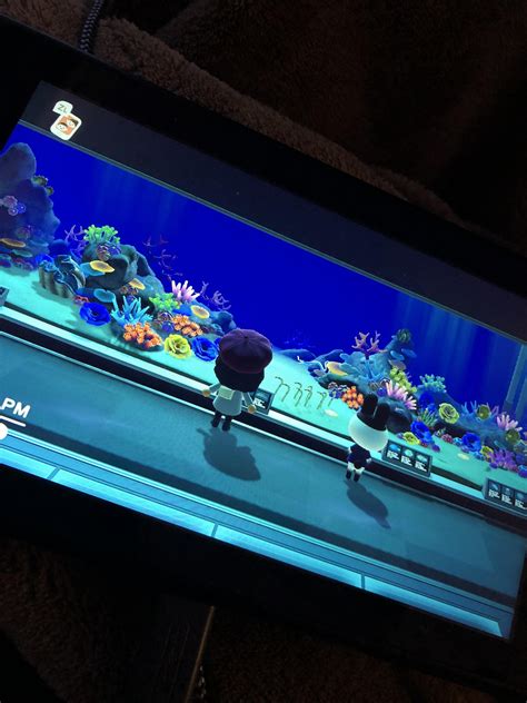 Went to go see my new Gigas giant clam in the museum & my best bud was