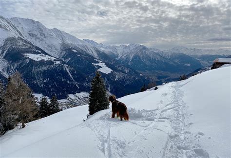 Betten mit stauraum für die aufbewahrung deiner dinge schaffen mehr platz im schlafzimmer. Betten - Bettmeralp