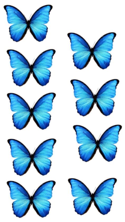 Blue Butterflies Are Arranged In The Shape Of A Butterfly With
