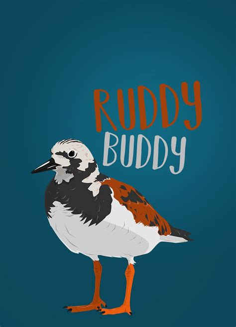 Ruddy Buddy Show The Bird Nerd In You With This Funny Bird Pun Tee