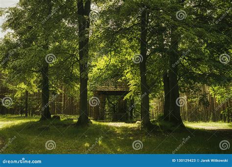 Christian Chapel In The Middle Of The Forest Stock Image Image Of